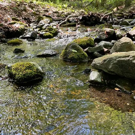 Memory Apartament Bad Harzburg