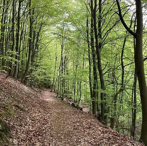 Memory Апартаменты