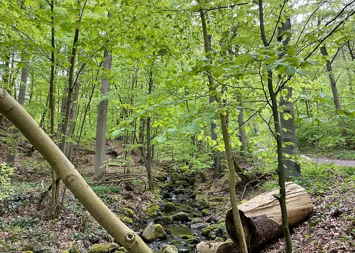 Апартаменты Memory